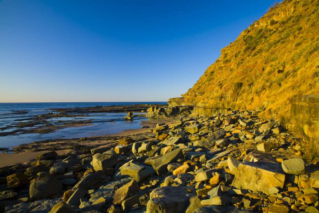 Australia, New South Wales, Royal National Park.
