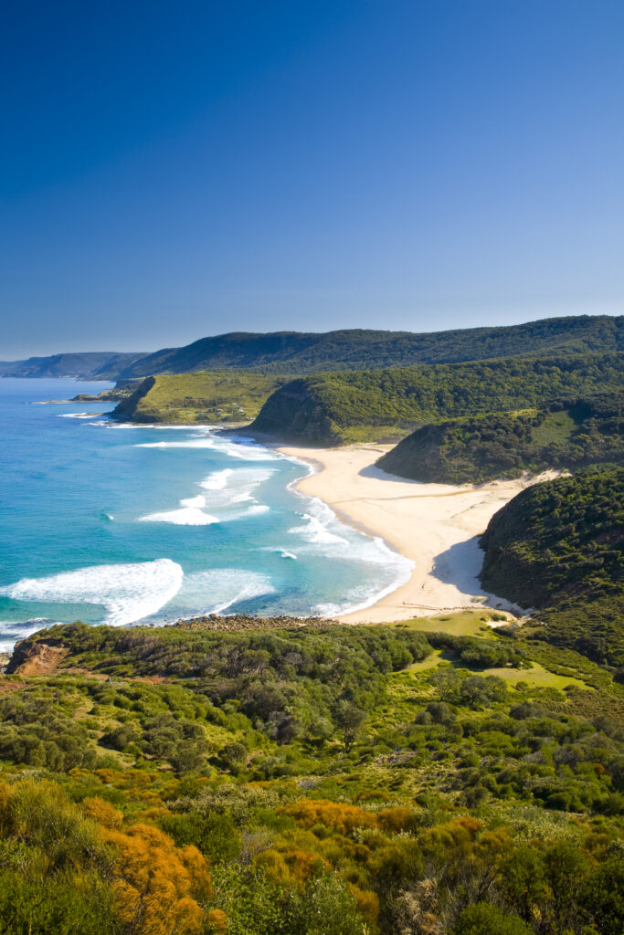 Australia, New South Wales, Royal National Park.