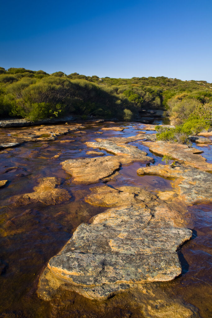 Australia, New South Wales, Royal National Park.
