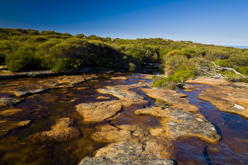 Australia, New South Wales, Royal National Park.