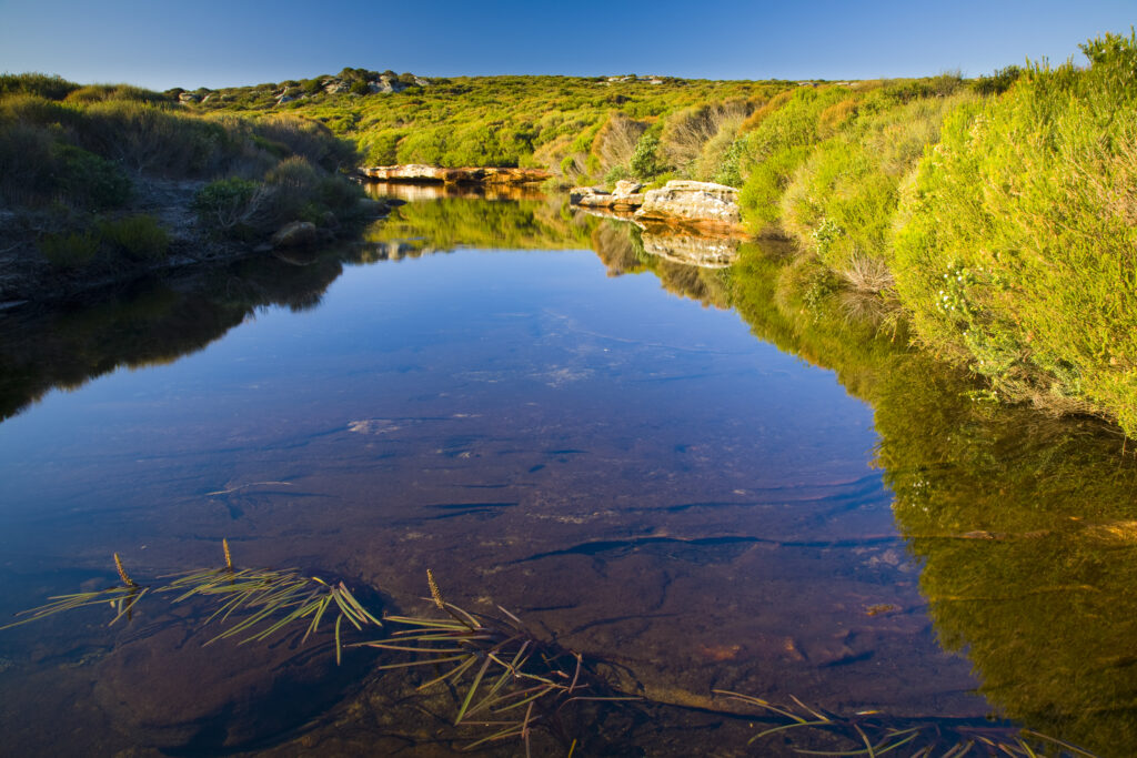 Australia, New South Wales, Royal National Park.