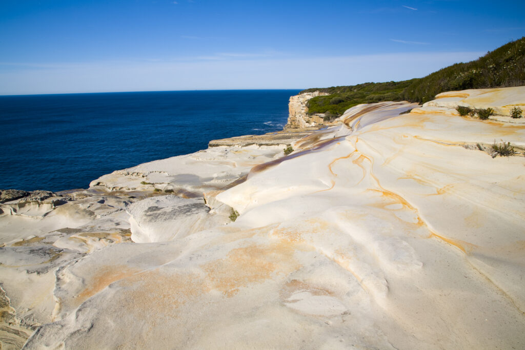 Australia, New South Wales, Royal National Park.