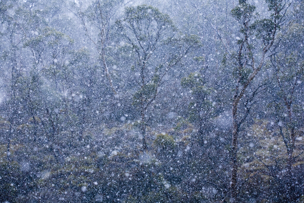 Australia, Tasmania, Cradle Mt – Lake St Clair National Park.
