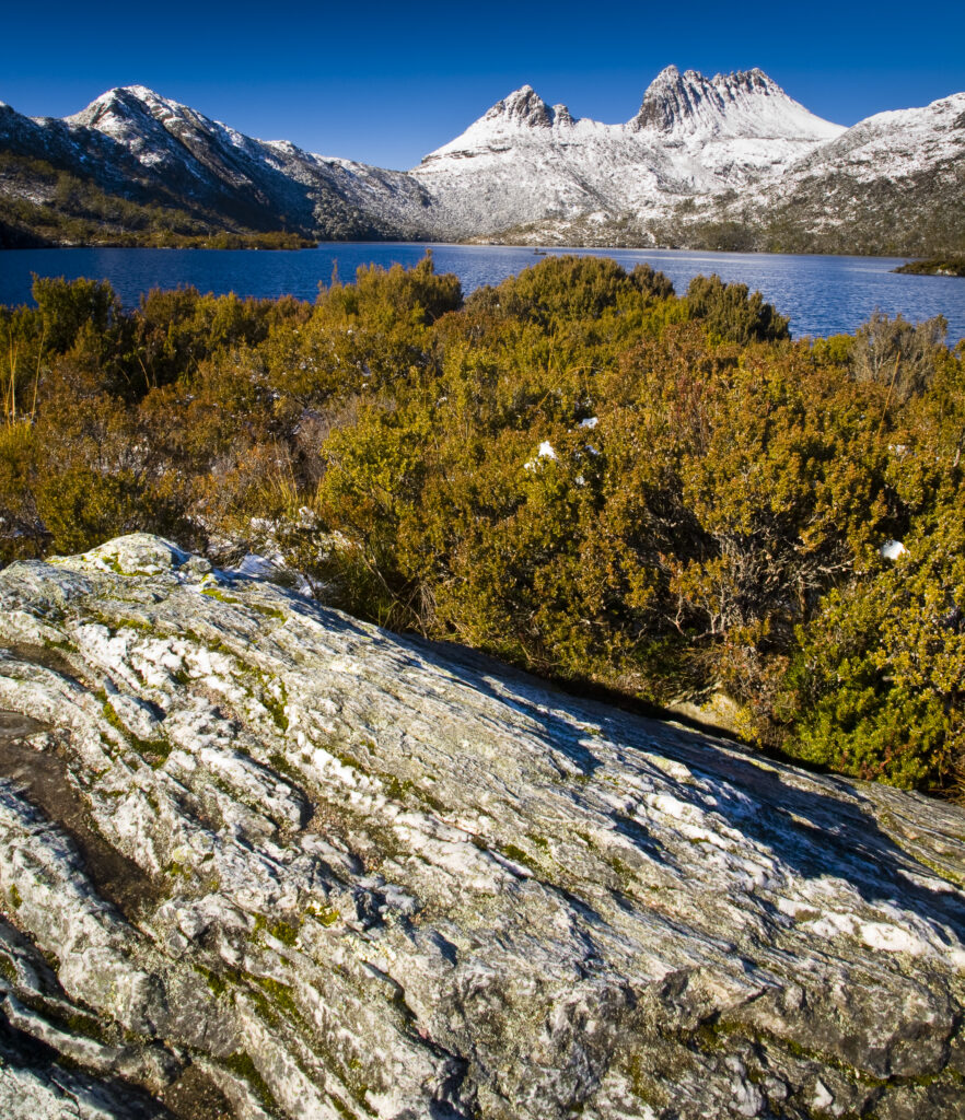 Australia, Tasmania, Cradle Mt – Lake St Clair National Park.