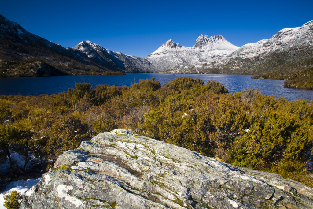 Australia, Tasmania, Cradle Mt – Lake St Clair National Park.