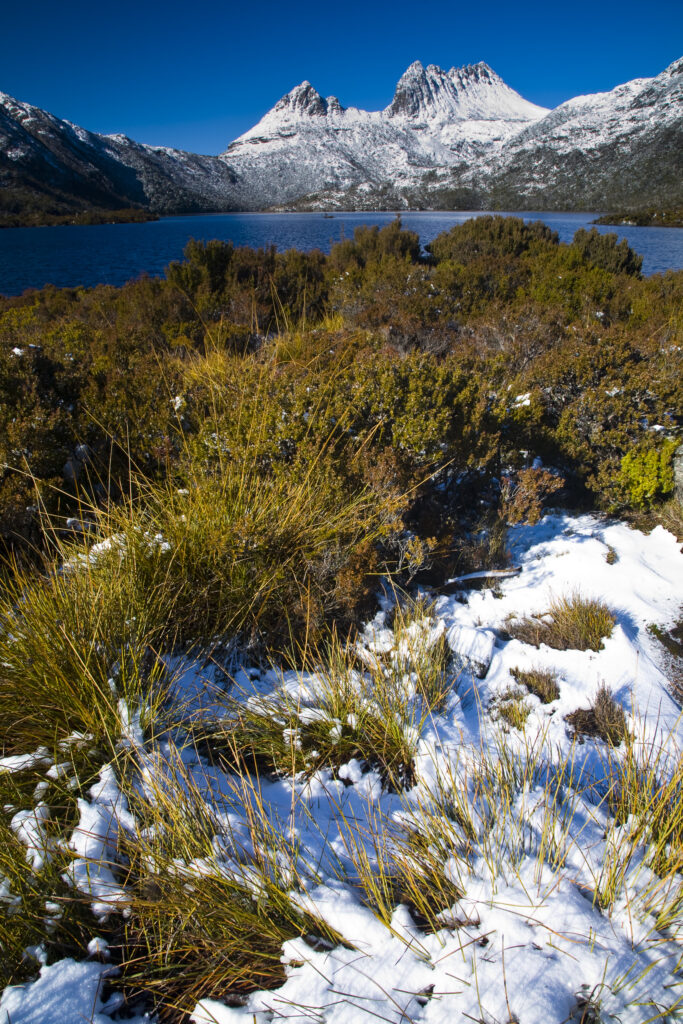 Australia, Tasmania, Cradle Mt – Lake St Clair National Park.