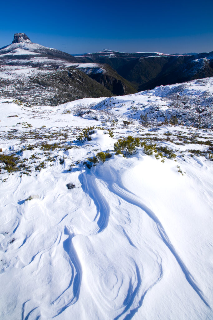 Australia, Tasmania, Cradle Mt – Lake St Clair National Park.