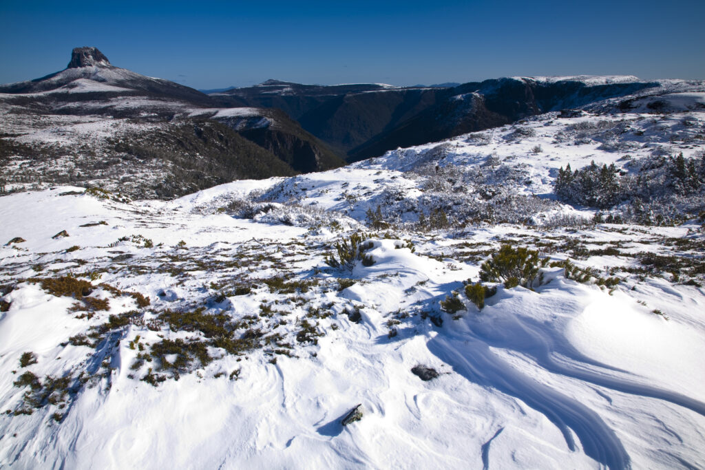 Australia, Tasmania, Cradle Mt – Lake St Clair National Park.