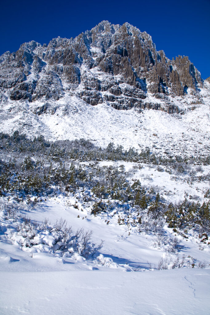 Australia, Tasmania, Cradle Mt – Lake St Clair National Park.
