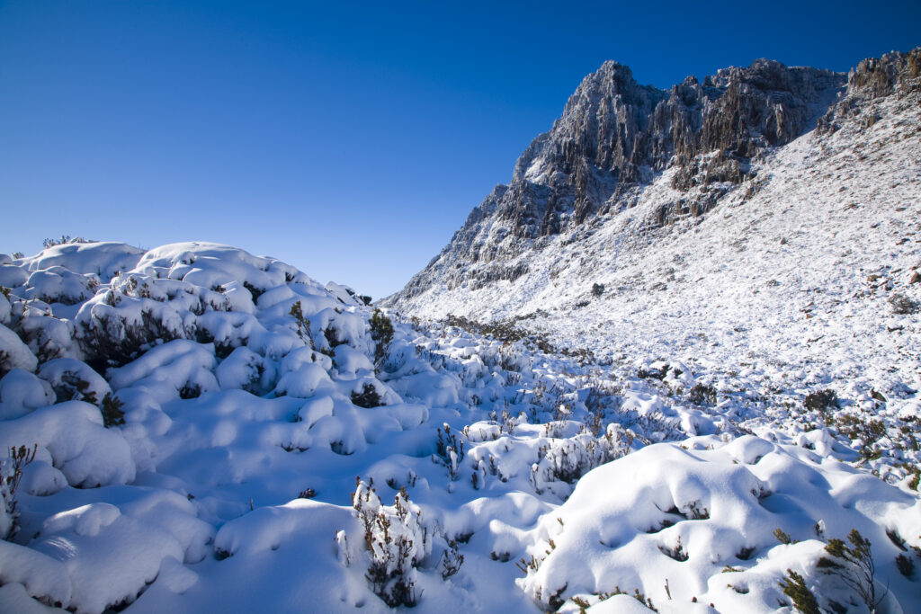 Australia, Tasmania, Cradle Mt – Lake St Clair National Park.