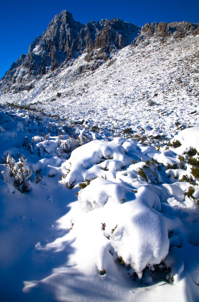 Australia, Tasmania, Cradle Mt – Lake St Clair National Park.