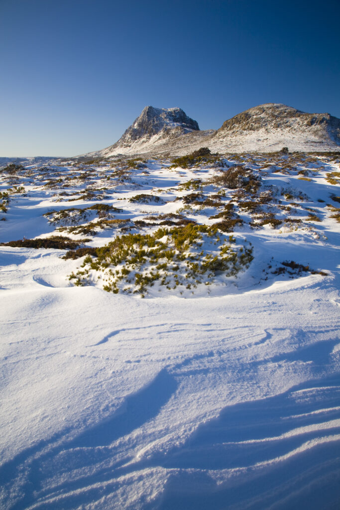 Australia, Tasmania, Cradle Mt – Lake St Clair National Park.