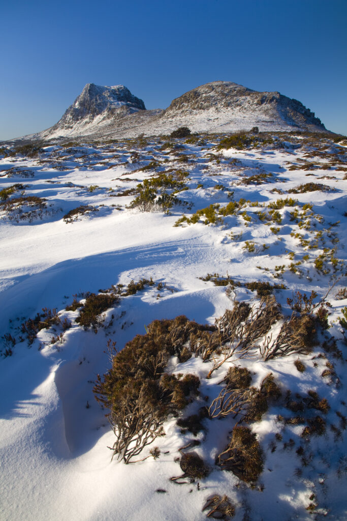 Australia, Tasmania, Cradle Mt – Lake St Clair National Park.