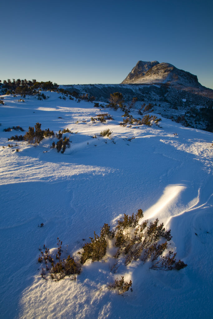 Australia, Tasmania, Cradle Mt – Lake St Clair National Park.