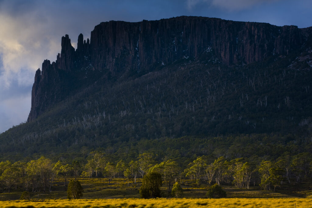 Australia, Tasmania, Cradle Mt – Lake St Clair National Park.