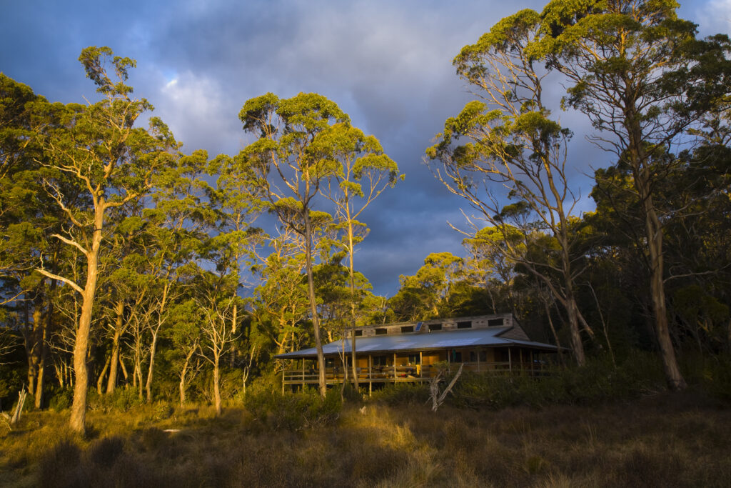 Australia, Tasmania, Cradle Mt – Lake St Clair National Park.