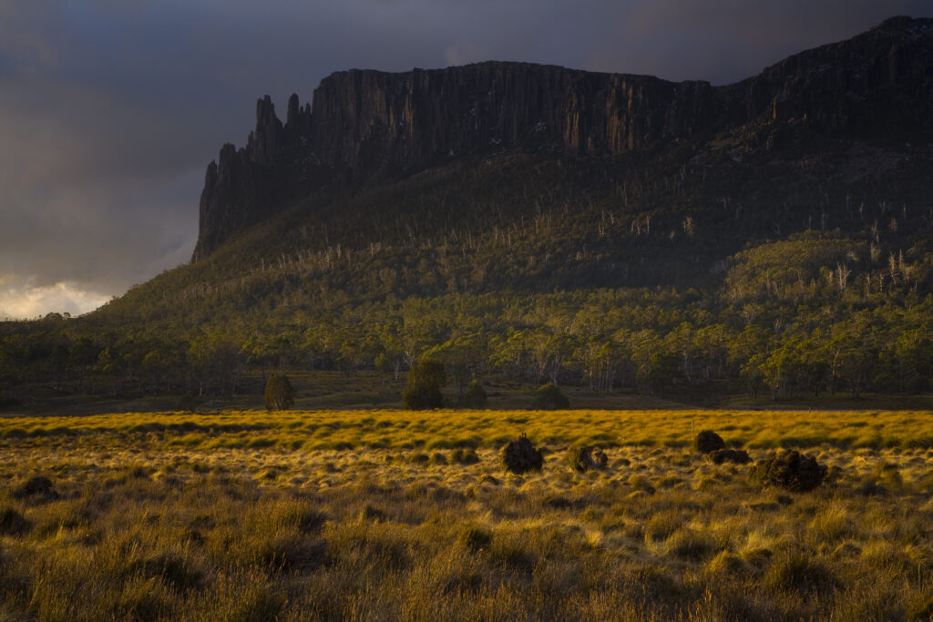 Australia, Tasmania, Cradle Mt – Lake St Clair National Park.
