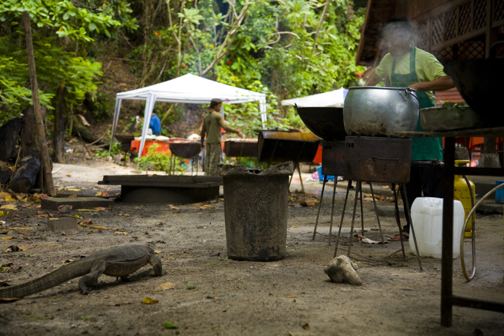 Borneo, Sabah Malaysia, Tunku Abdul Rahman Park.