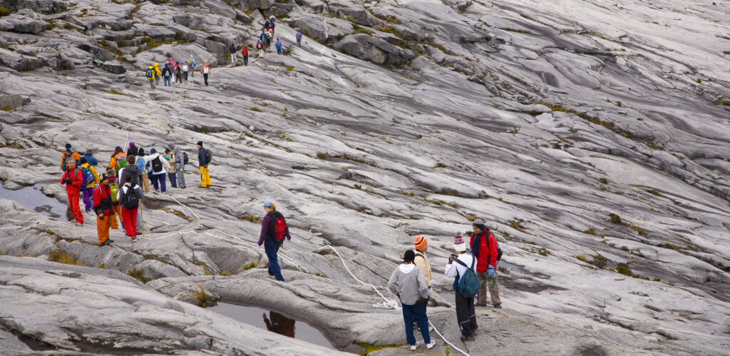 Sabah Malaysia, Borneo, Kinabalu National Park.