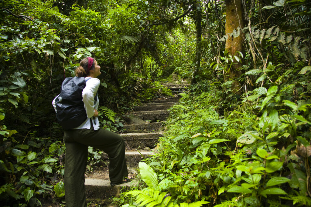 Sabah Malaysia, Borneo, Kinabalu National Park.