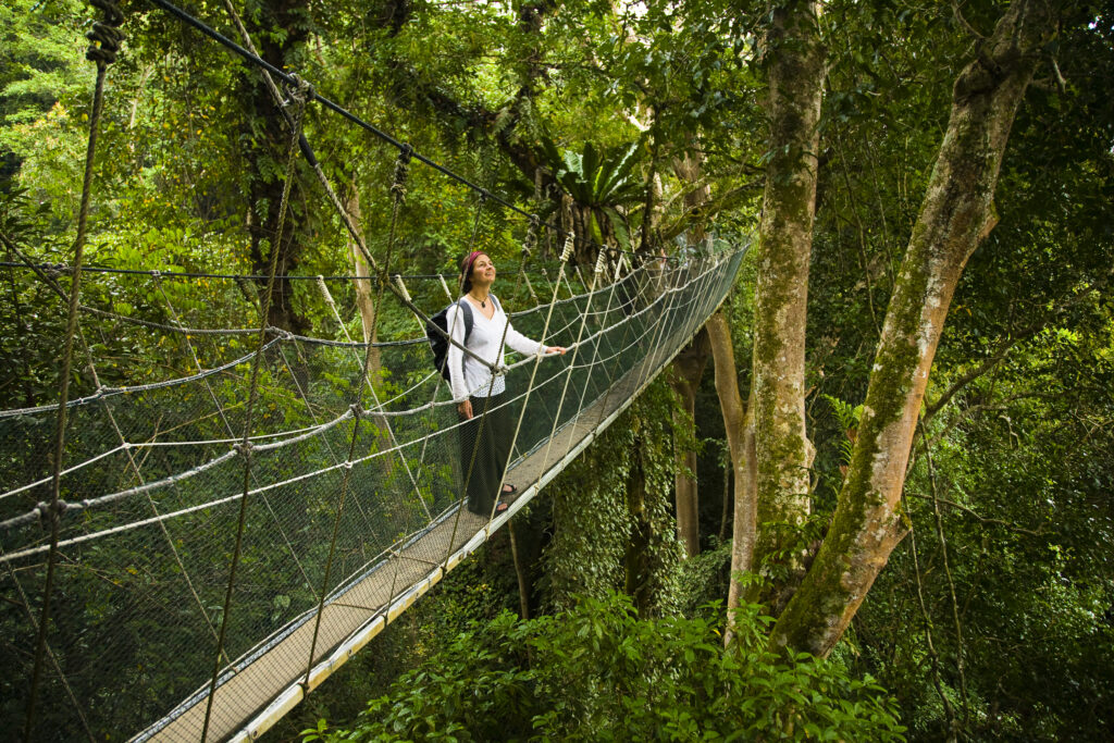 Sabah Malaysia, Borneo, Kinabalu National Park.