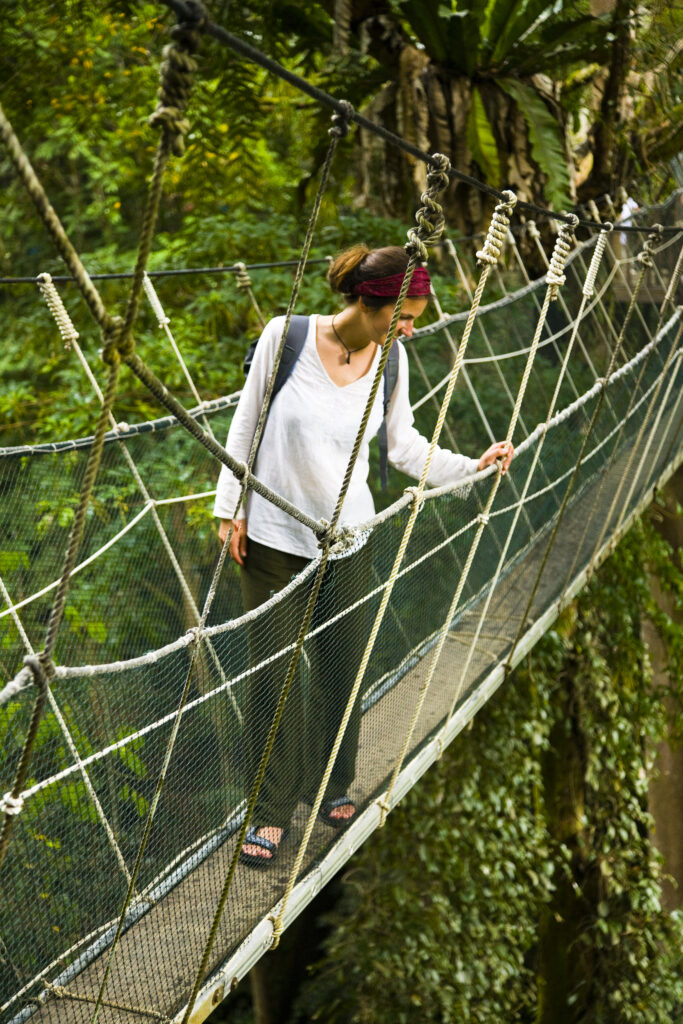 Sabah Malaysia, Borneo, Kinabalu National Park.