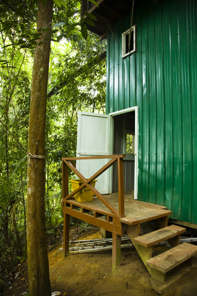 Sabah Malaysia, Borneo, Kinabalu National Park.