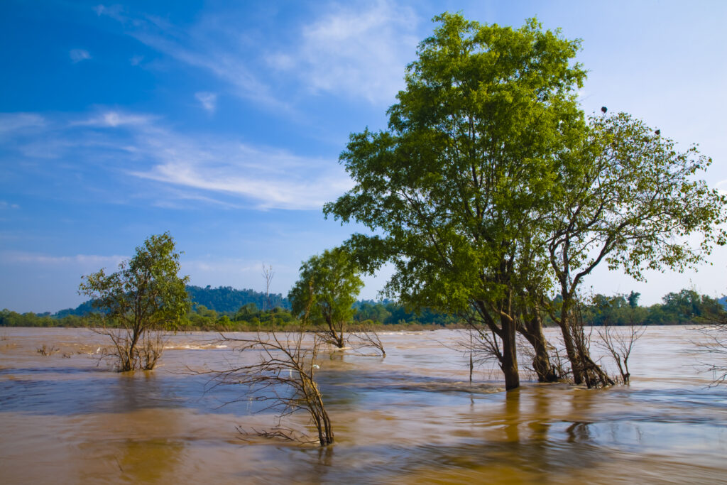 Laos, Si Phan Don (Four Thousand Islands), Don Khon.