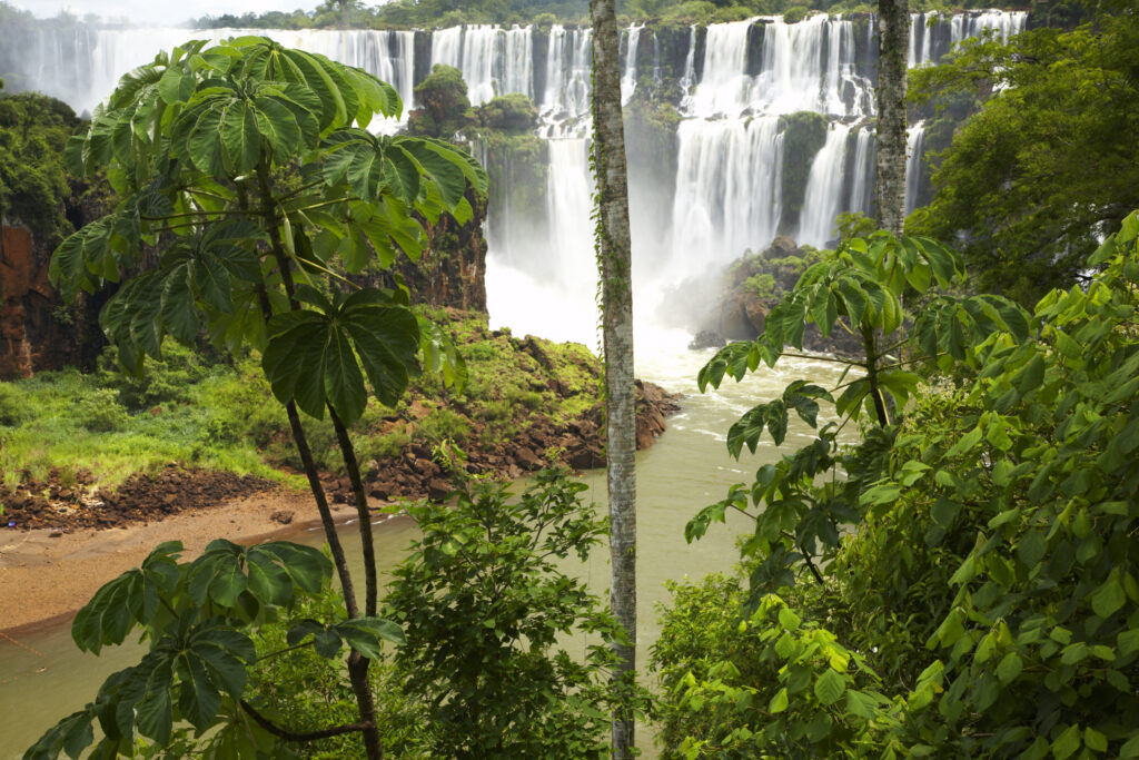 Argentina, Misiones, Iguazu National Park. The impressive Iguazu waterfalls – A world heritage site.