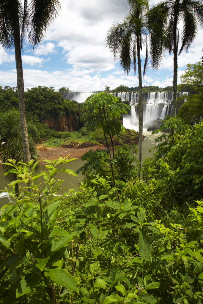 Argentina, Misiones, Iguazu National Park. The impressive Iguazu waterfalls – A world heritage site.