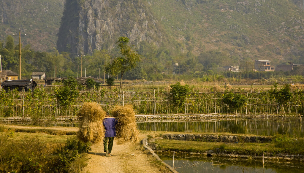 China, Guangxi Zhuang Autonomous Region, Yangshuo County.