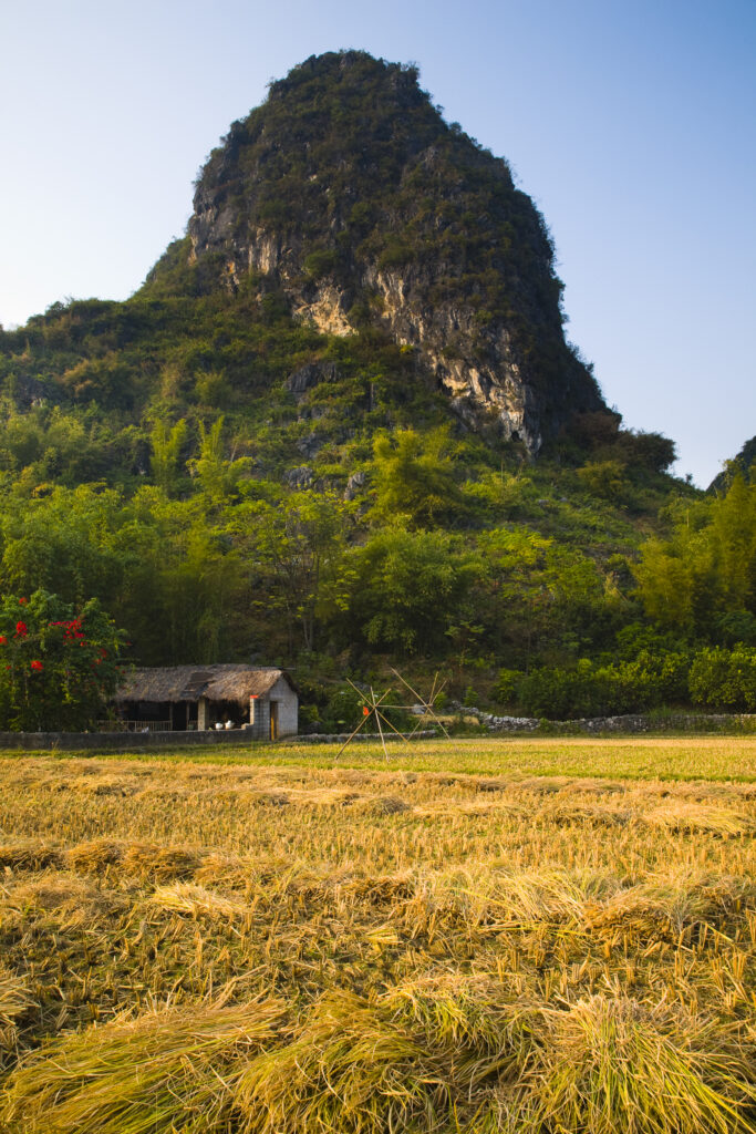 China, Guangxi Zhuang Autonomous Region, Yangshuo County.