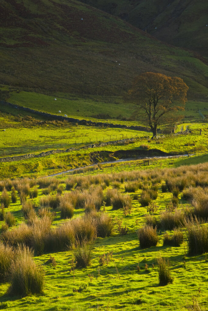 Scotland, Scottish Borders, Liddesdale.