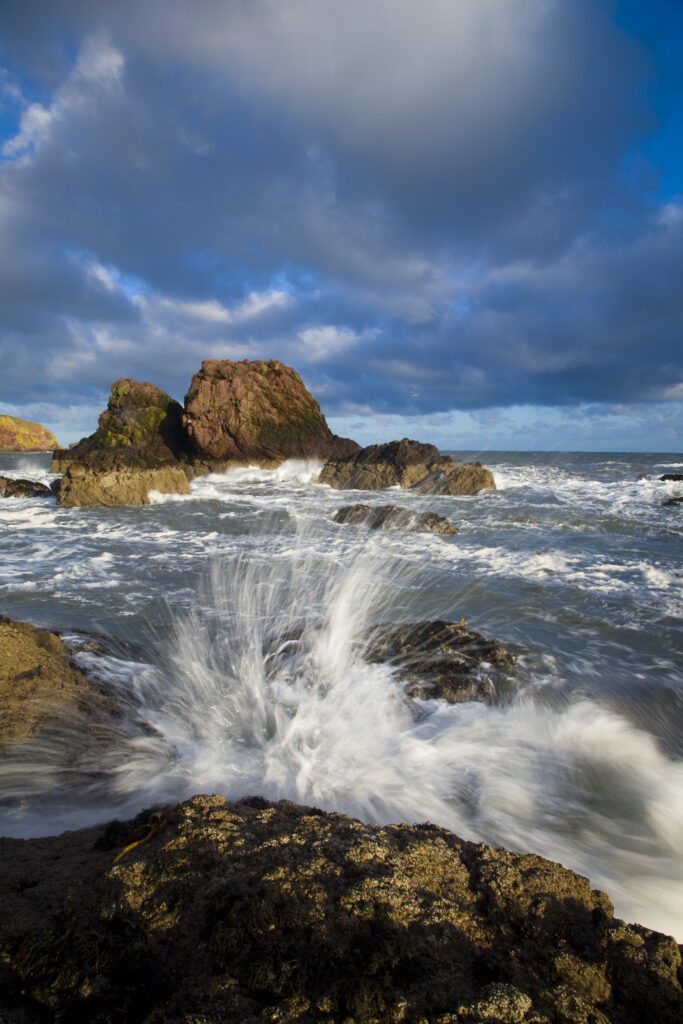 Scotland, Scottish Borders, St Abbs.
