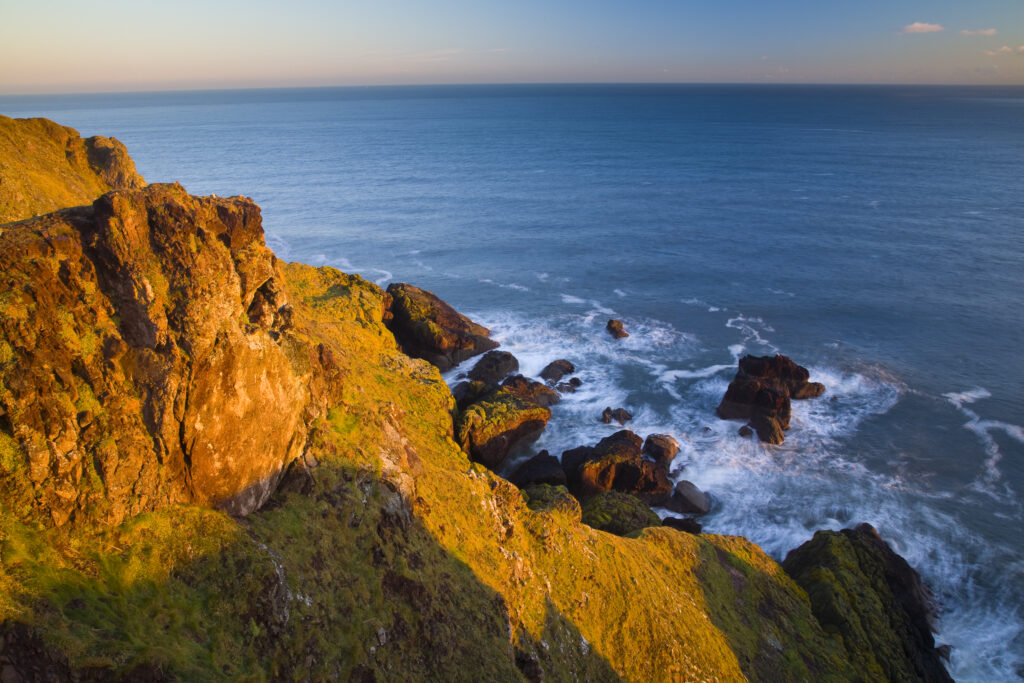 Scotland, Scottish Borders, St Abbs Nature Reserve.