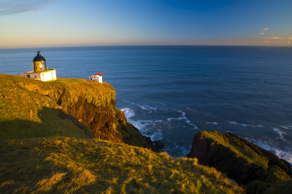 Scotland, Scottish Borders, St Abbs Nature Reserve.