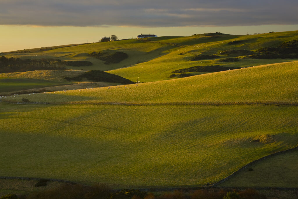 Scotland, Scottish Borders, St Abbs.