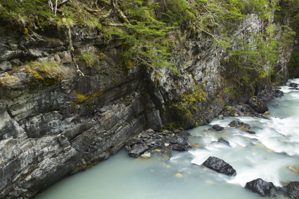 Chile, Southern Patagonia, Torres Del Paine National Park. Rapids on the Rio de los Perro running through a forested gorge on the ‘Circuit’ track.