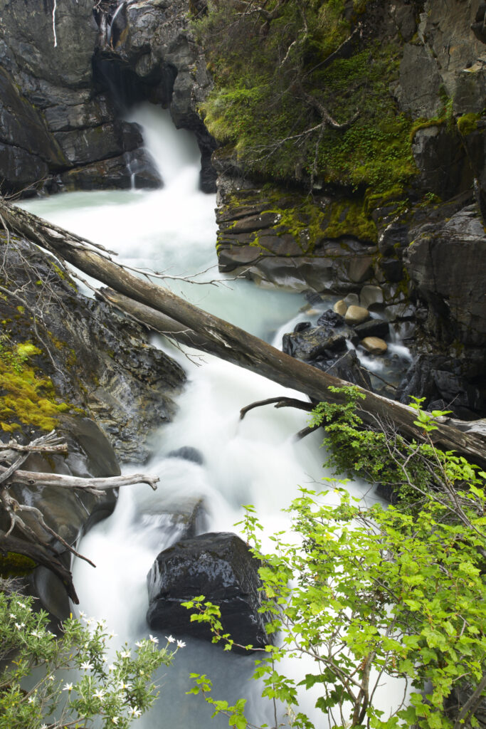Chile, Southern Patagonia, Torres Del Paine National Park. Rapids on the Rio de los Perro running through a forested gorge on the ‘Circuit’ track.