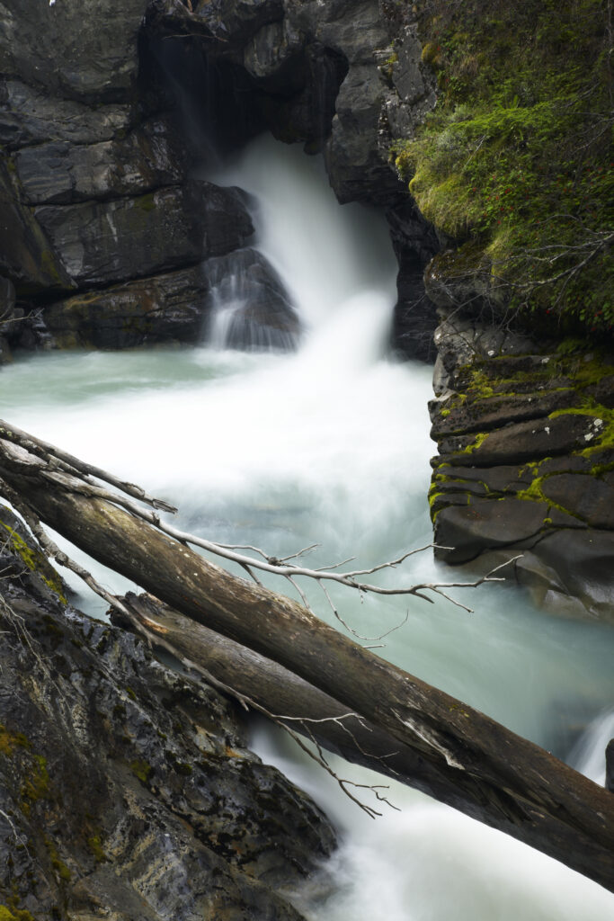 Chile, Southern Patagonia, Torres Del Paine National Park. Rapids on the Rio de los Perro running through a forested gorge on the ‘Circuit’ track.
