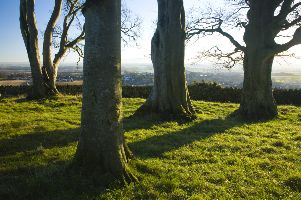 Scotland, Scottish Borders, Duns.