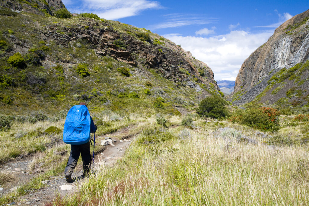 Chile, Southern Patagonia, Torres Del Paine National Park.