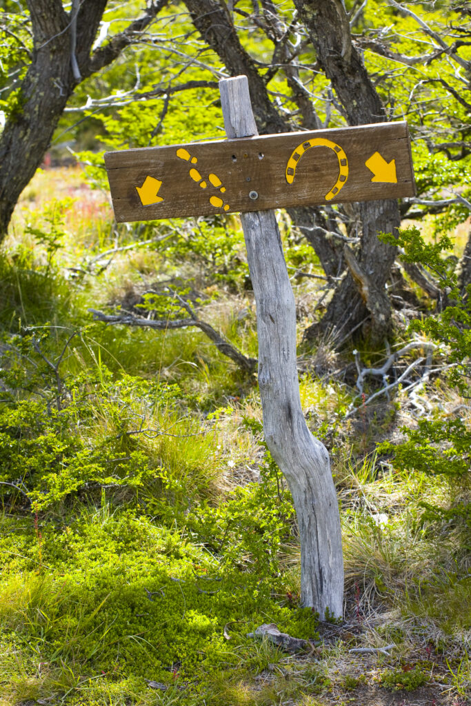 Argentina, Patagonia, Los Glaciares National Park.