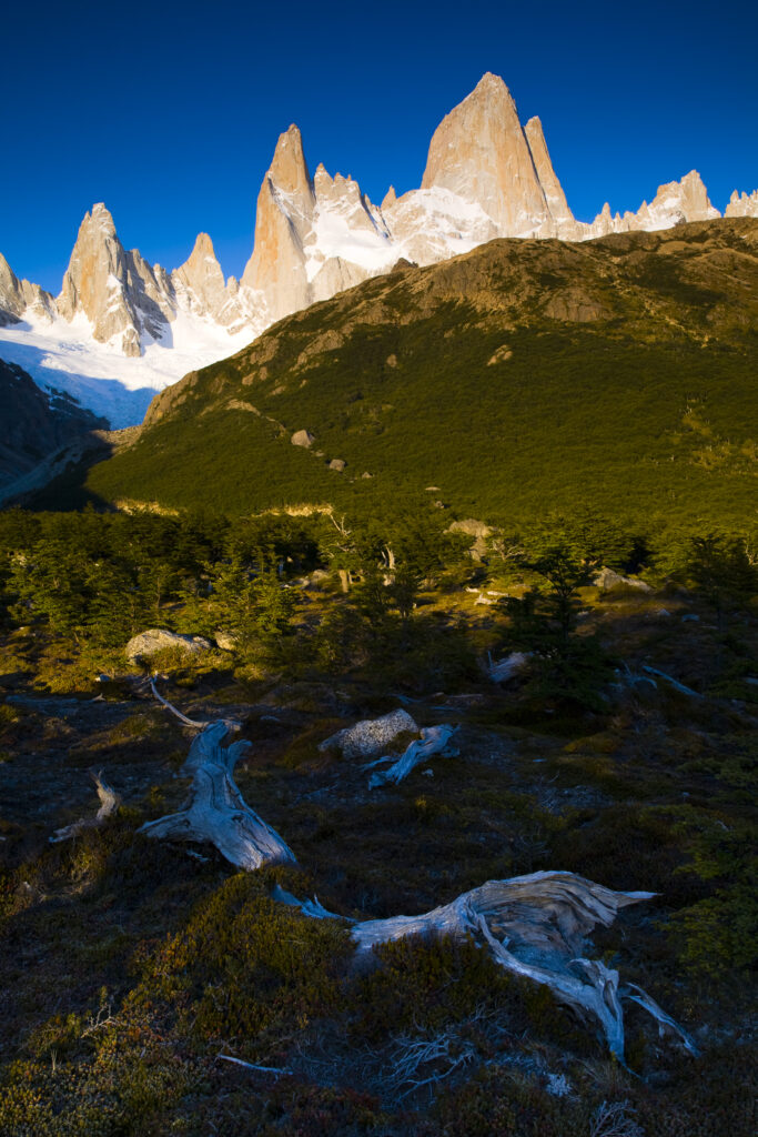 Argentina, Patagonia, Los Glaciares National Park.