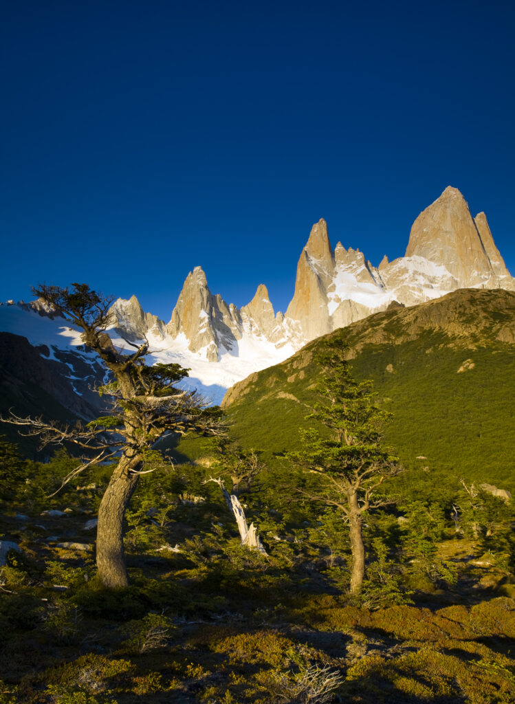 Argentina, Patagonia, Los Glaciares National Park.
