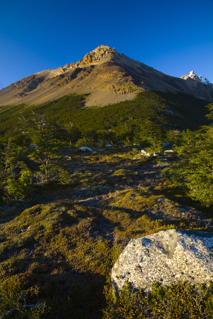 Argentina, Patagonia, Los Glaciares National Park.
