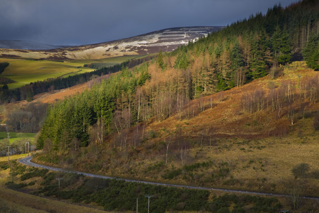 Scotland, Scottish Borders, Moorfoot Hills.