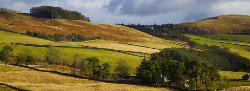 Scotland, Scottish Borders, Tweed Valley.