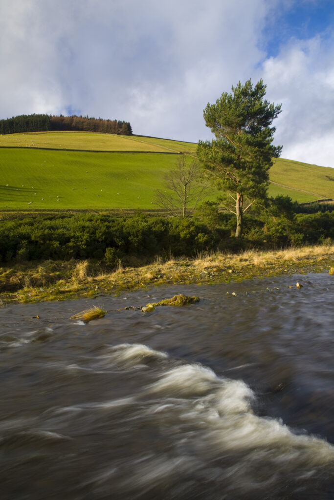 Scotland, Scottish Borders, Leithen Water.