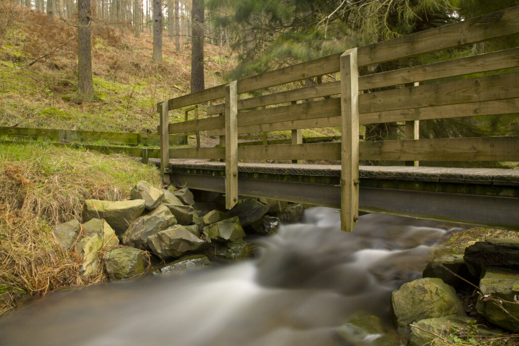 Scotland, Scottish Borders, Cardrona Forest.